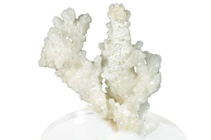 Intricate, Fluorescent Aragonite Formation - Nevada #295258